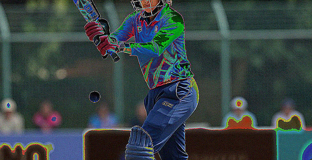 The Empty Payload: When a Cricket Report Looks Complete and Says Nothing